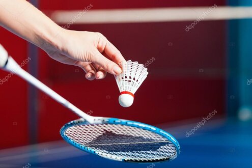 Badminton familiedag met spelers en supporters